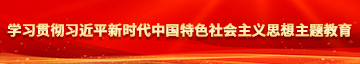 www操操性爱学习贯彻习近平新时代中国特色社会主义思想主题教育